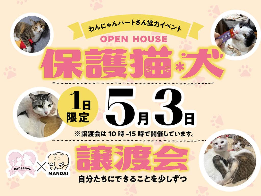 姶良市東餅田で保護猫・犬譲渡会（2026/05/03） | オーリック建設