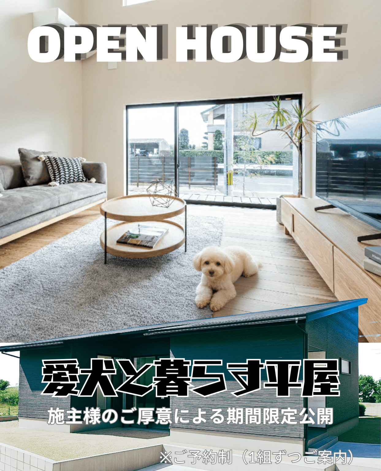 鹿児島市大明丘で愛犬と暮らす平屋　施主様のご厚意による期間限定公開（2026/09/26〜2026/09/29） | Life.Plus.Home